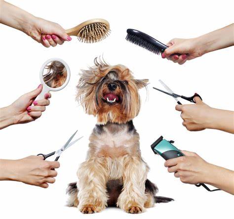 Deluxe Grooming Package