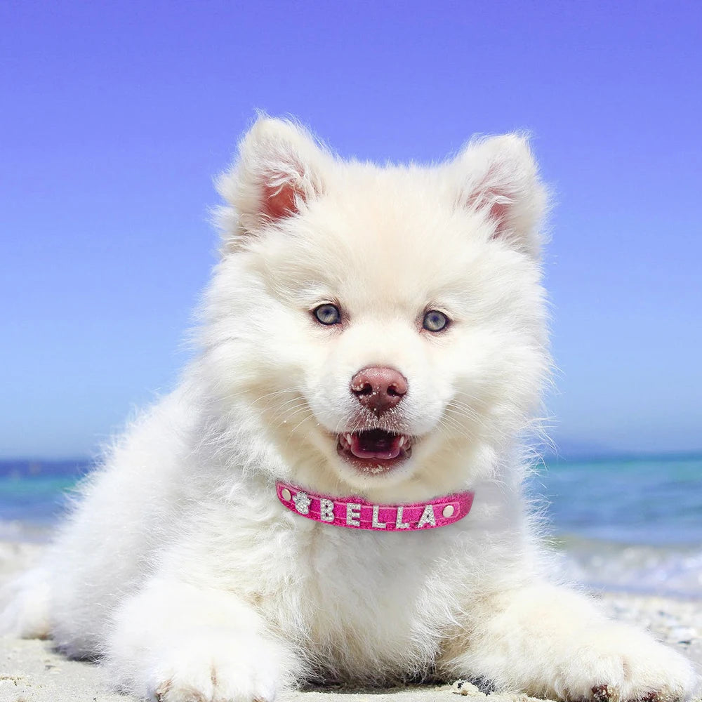 Personalized Dog Collar Leather Rhinestone