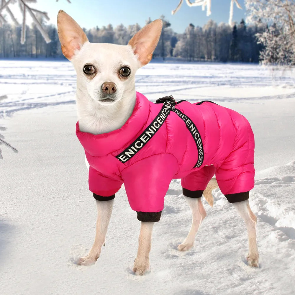 Winter Puffer Jacket