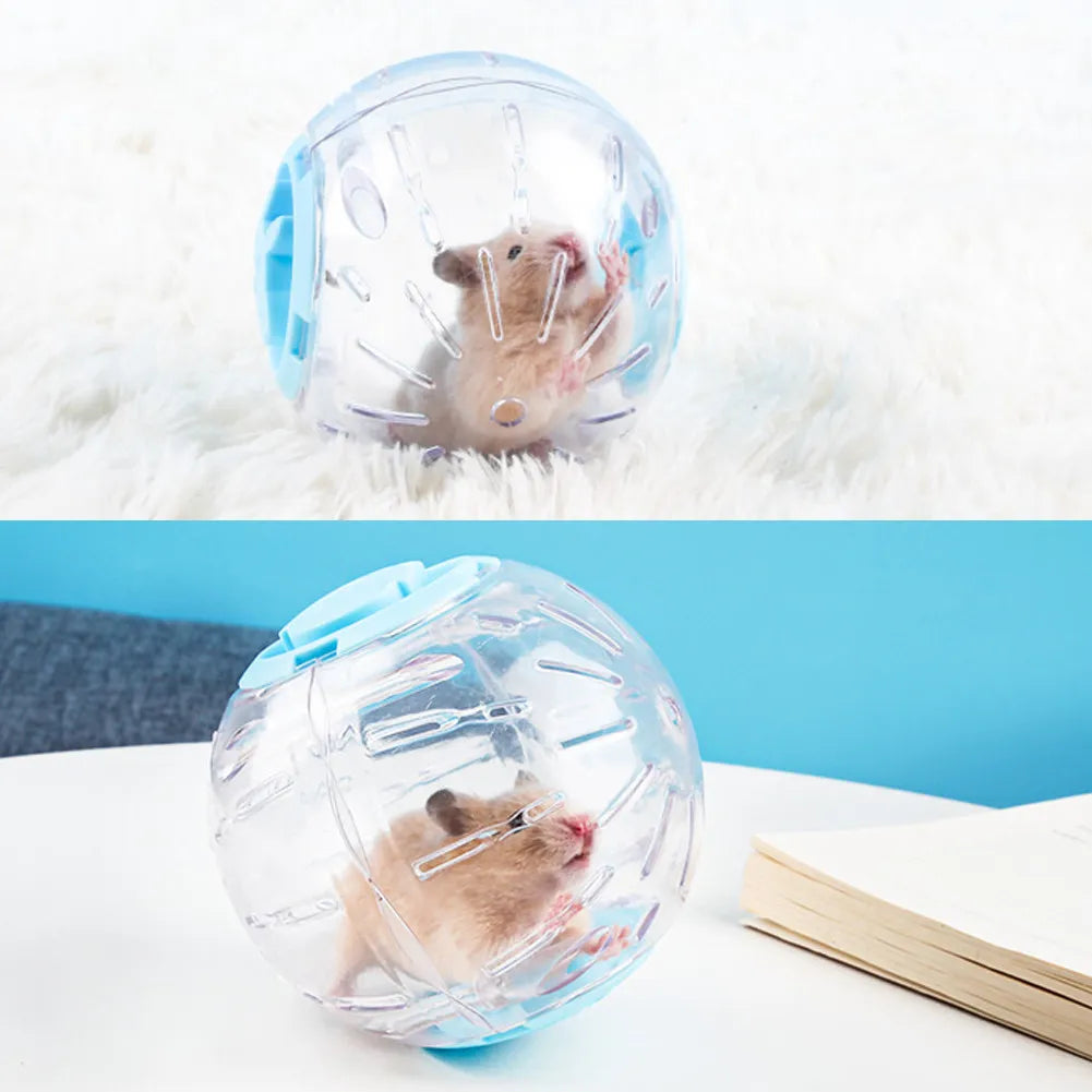 Outdoor Grounder Ball Small Pet