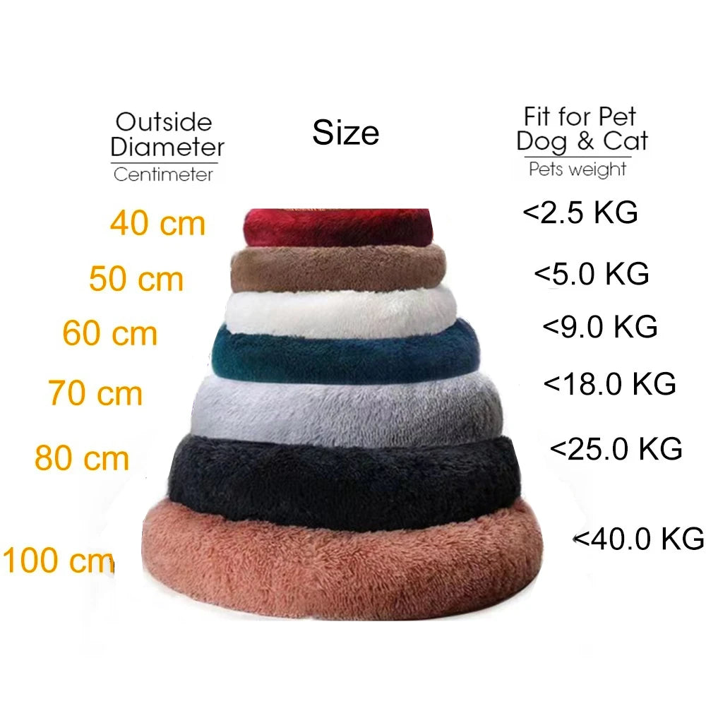 Plush Sofa Bed