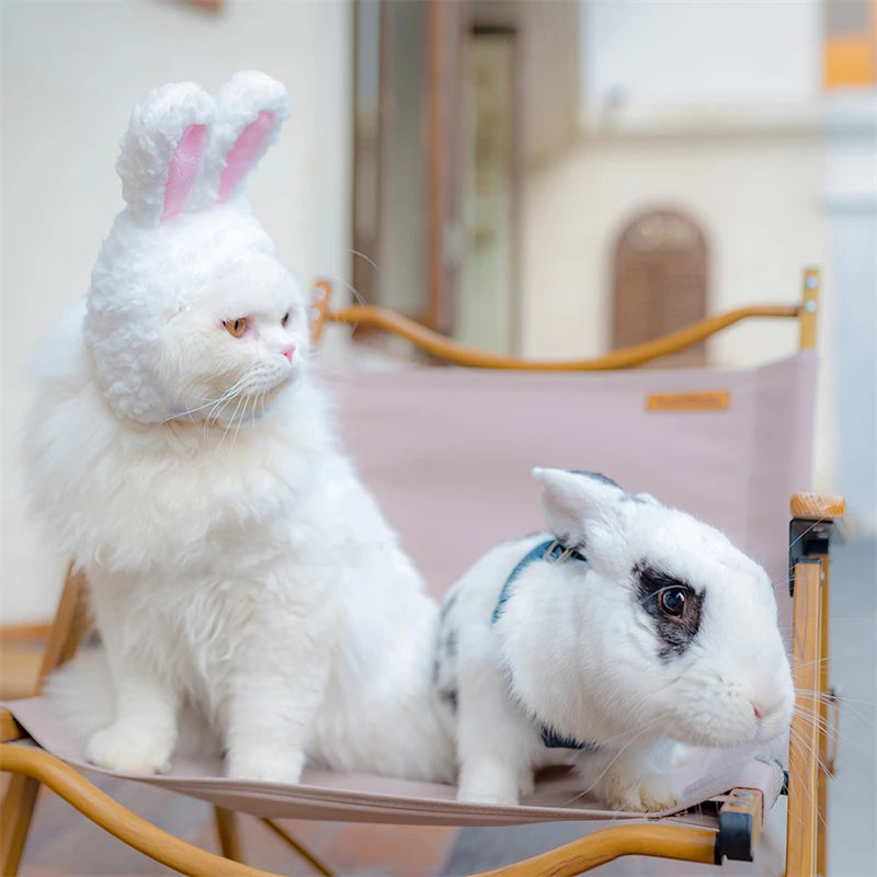 Plush Rabbit Ears