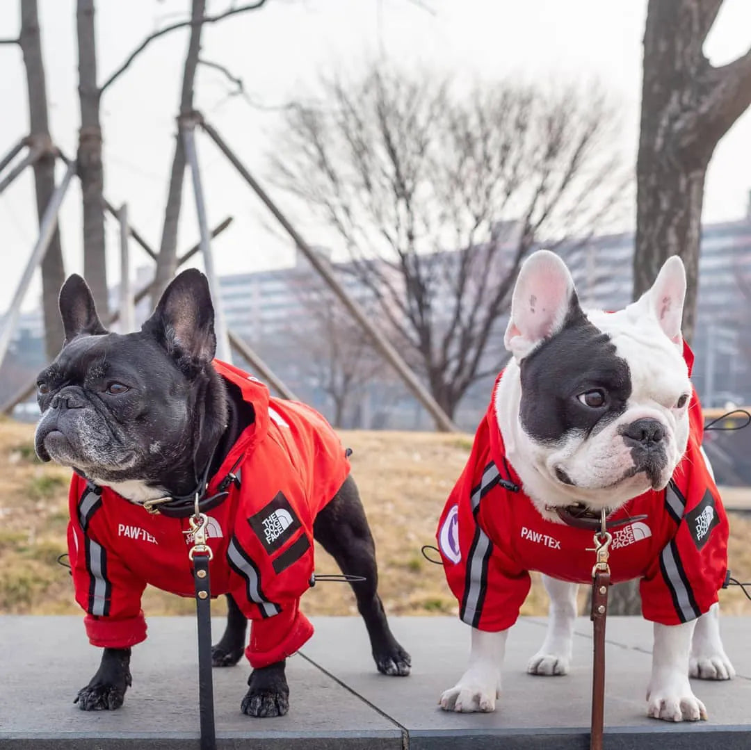 Windproof Pet Coat S-5XL
