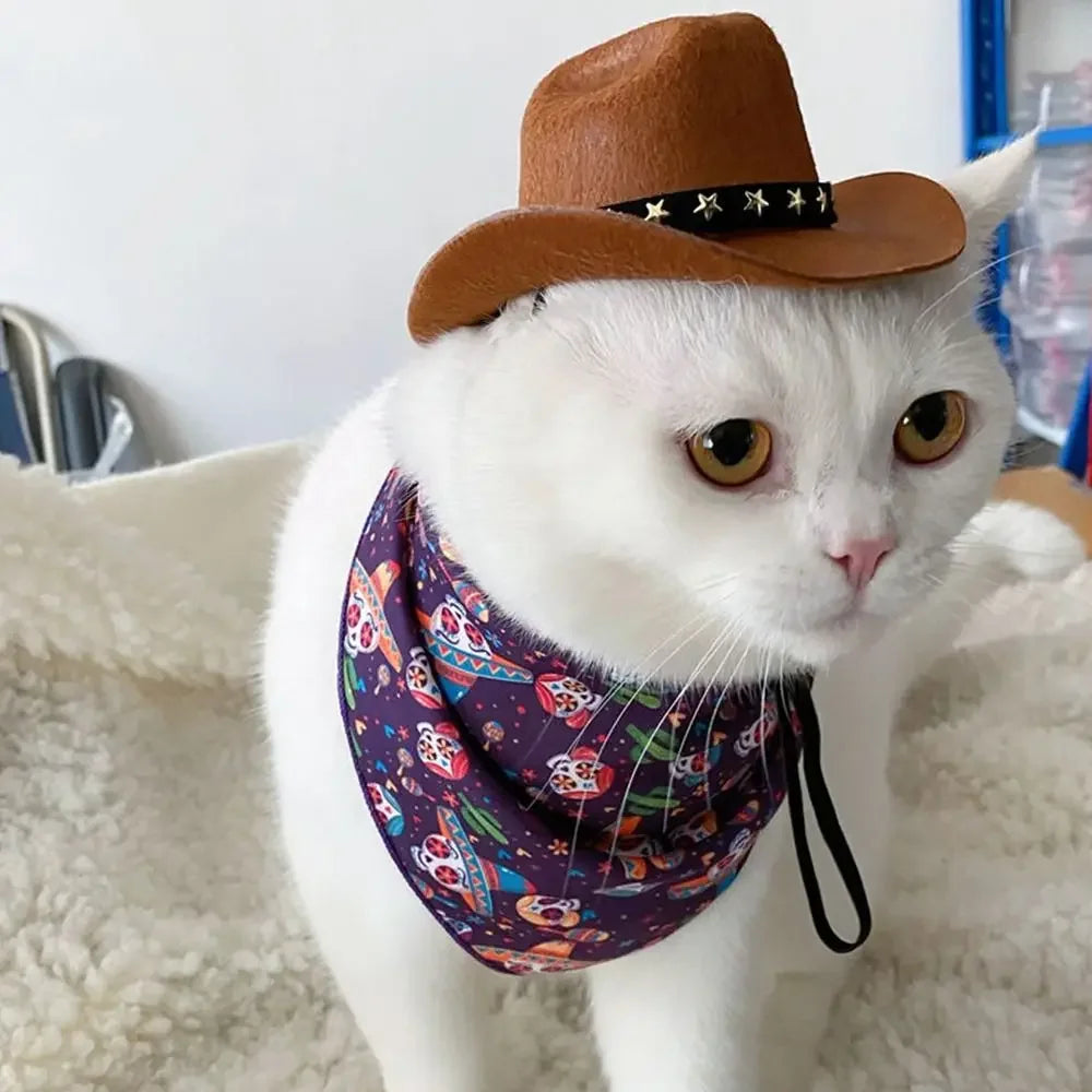 Cowboy Hat