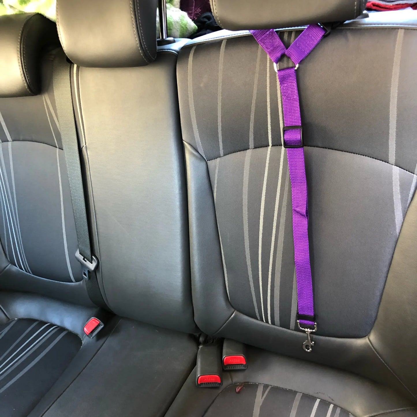 Two-in-one Pet Car Seat Belt Leash Backseat Safety Belt Adjustable