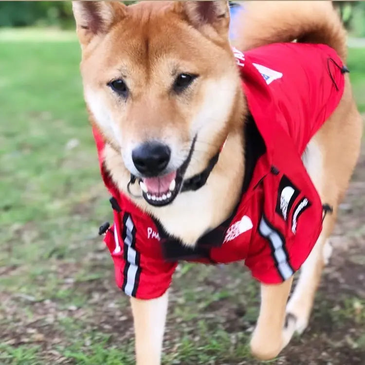 Windproof Pet Coat S-5XL
