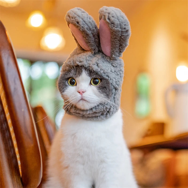 Plush Rabbit Ears