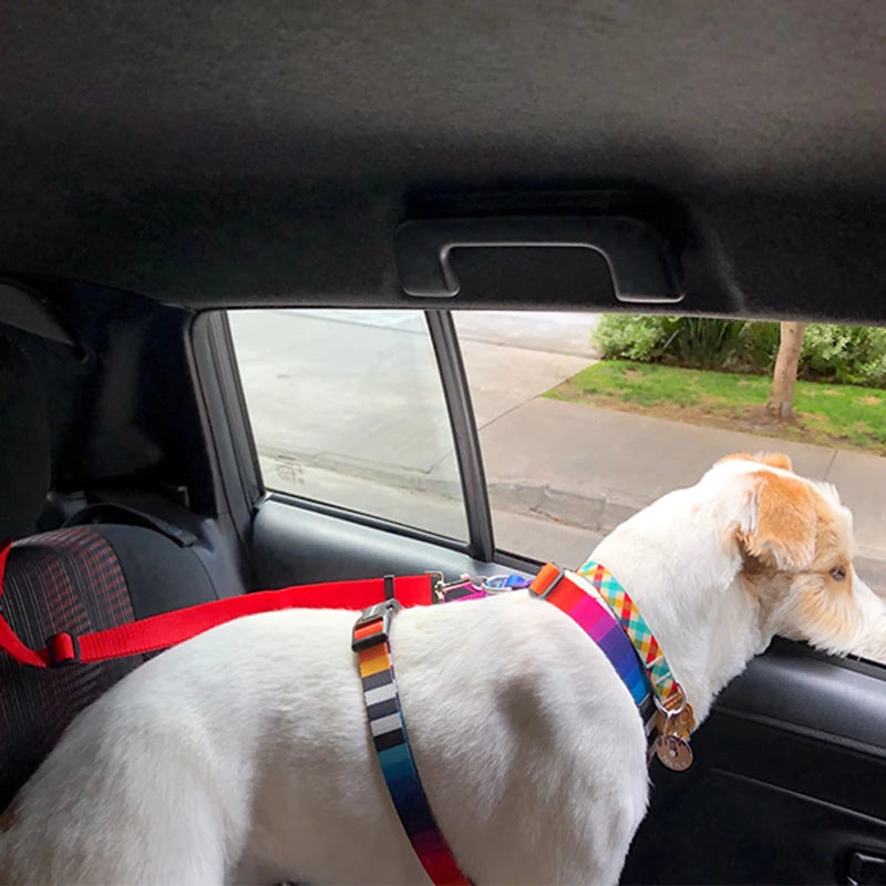 Two-in-one Pet Car Seat Belt Leash Backseat Safety Belt Adjustable