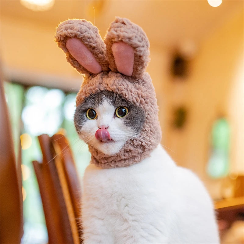Plush Rabbit Ears