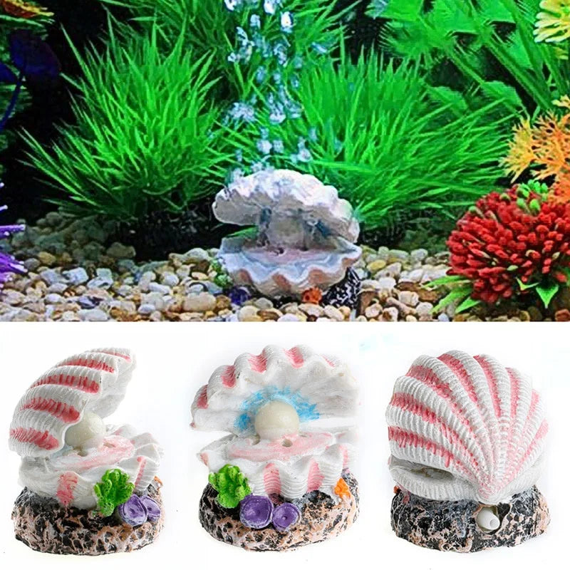 Shell Pearl & Air Stone Aquarium