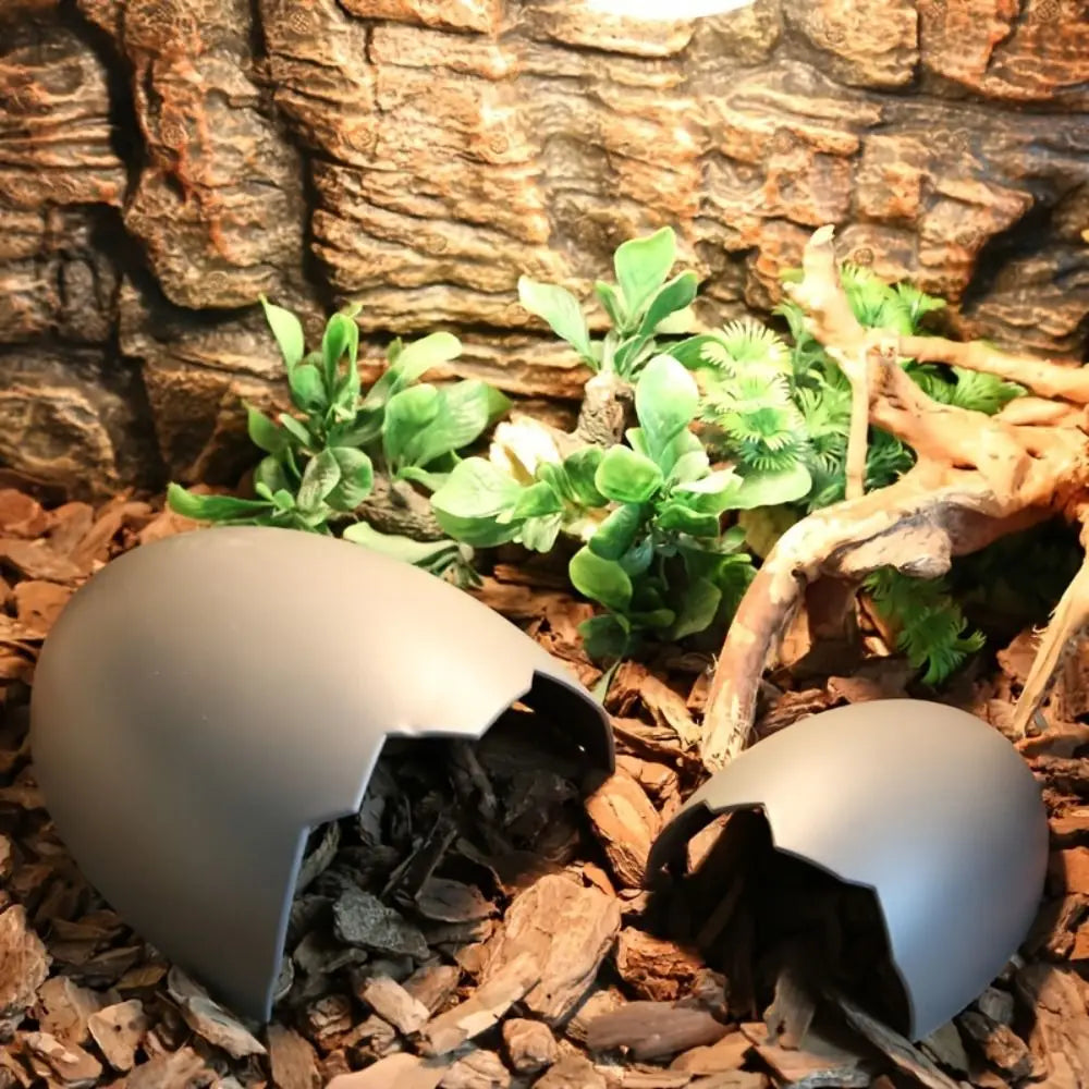 Reptile Hide Cave