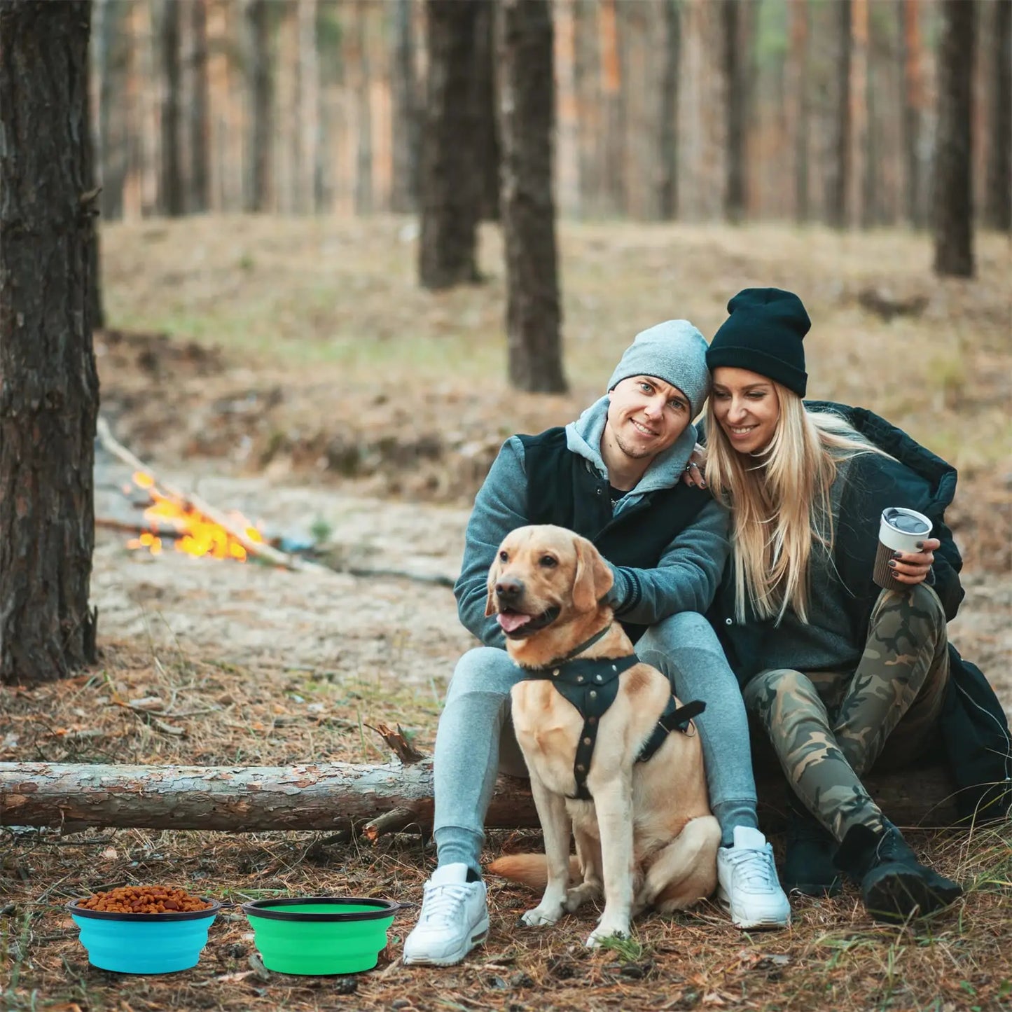 Collapsible Pet Silicone Food Water Bowl