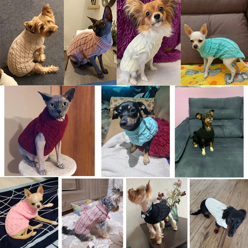 Cozzy Knitted Sweater