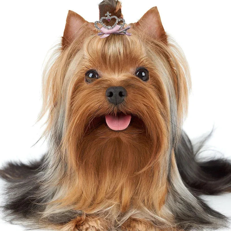 Crown Hairclip