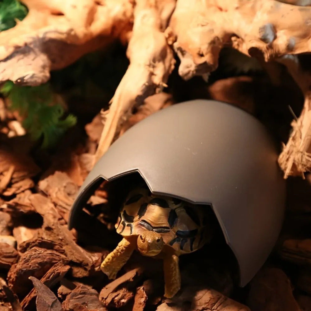 Reptile Hide Cave