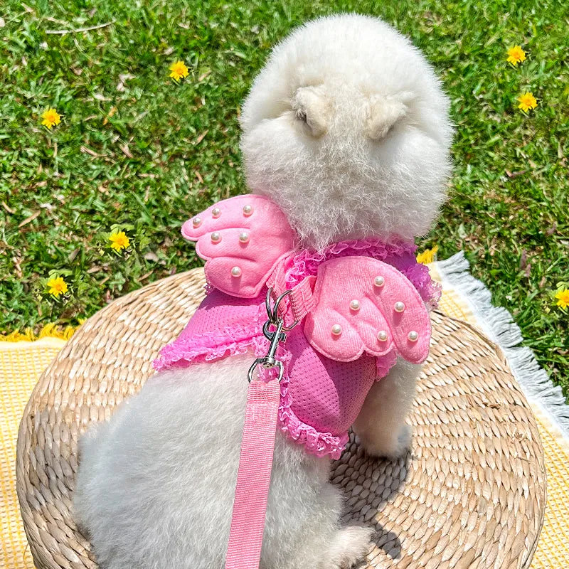 Angel Wing Dog Harness