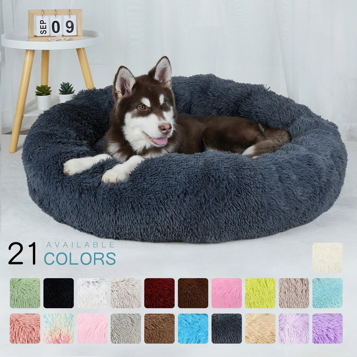 Plush Sofa Bed