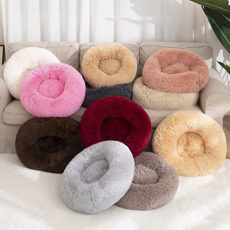Plush Sofa Bed