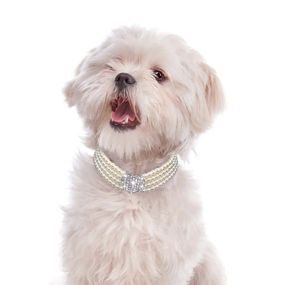 Puppy Dog Choker Rhinestone