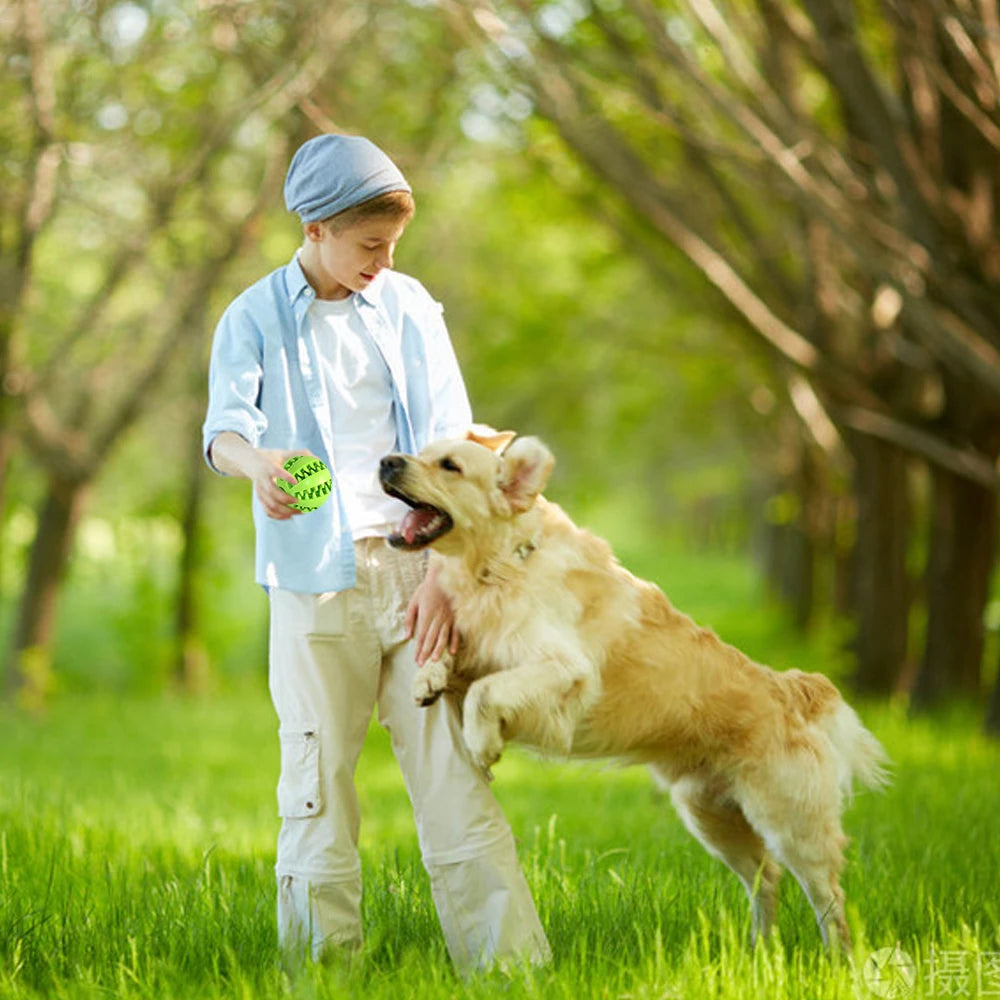 Pet Interactive Rubber Ball Toy