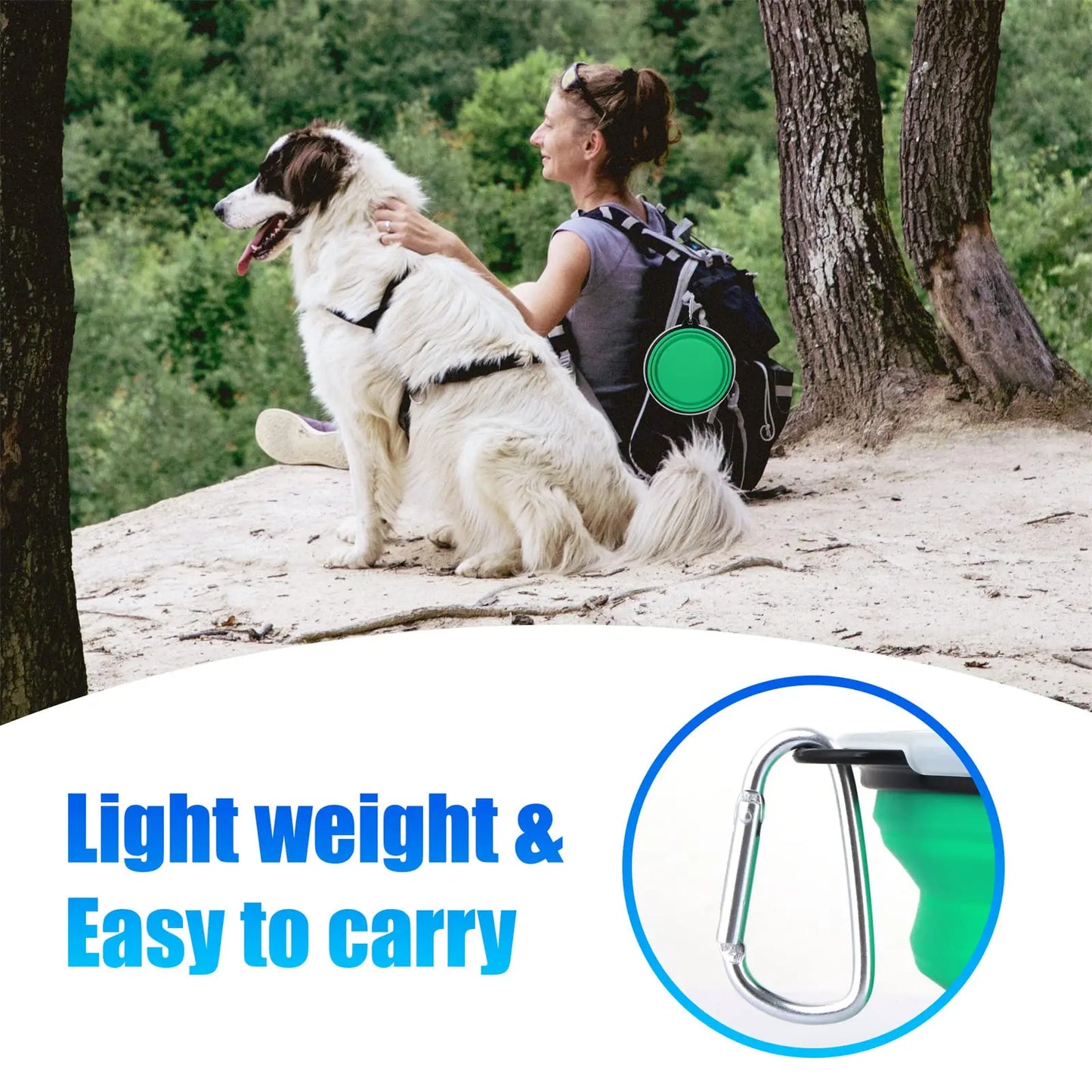 Collapsible Pet Silicone Food Water Bowl