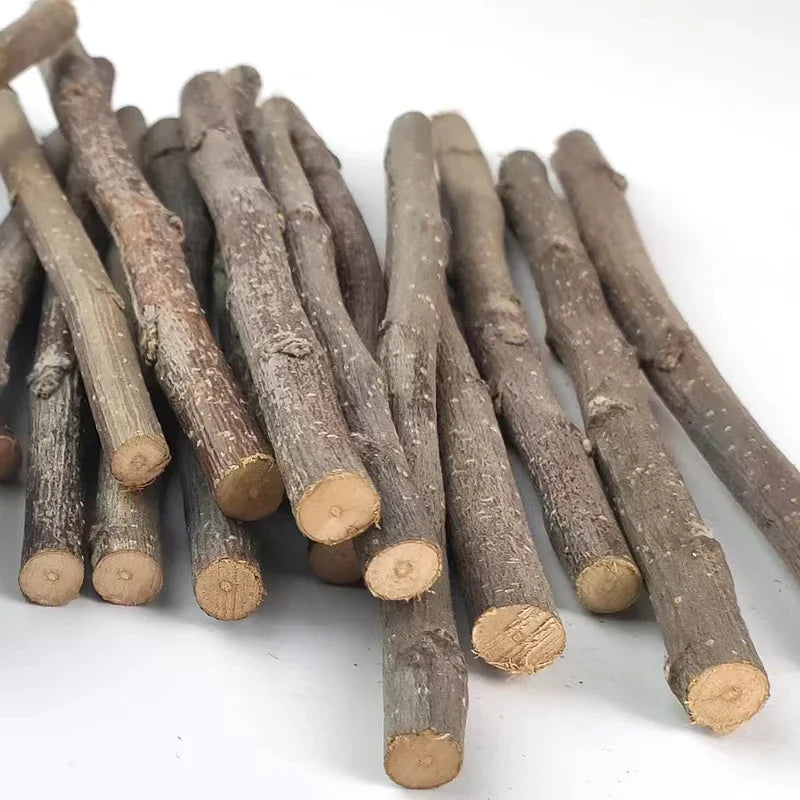 Teeth Grinding Apple Tree Stick