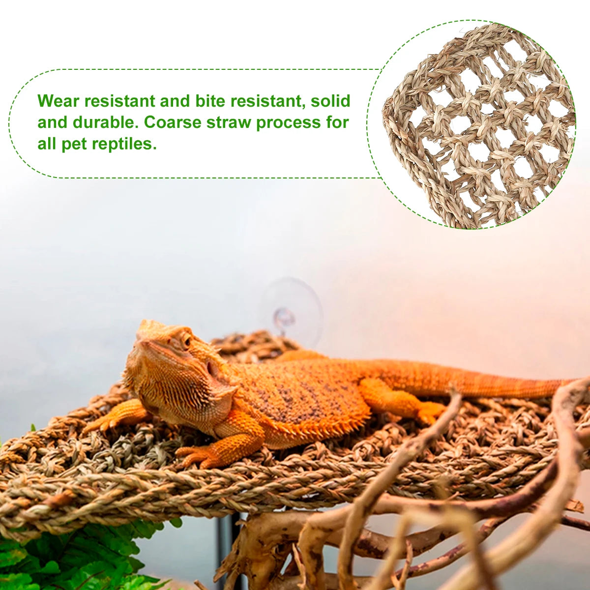 Reptile Hammock
