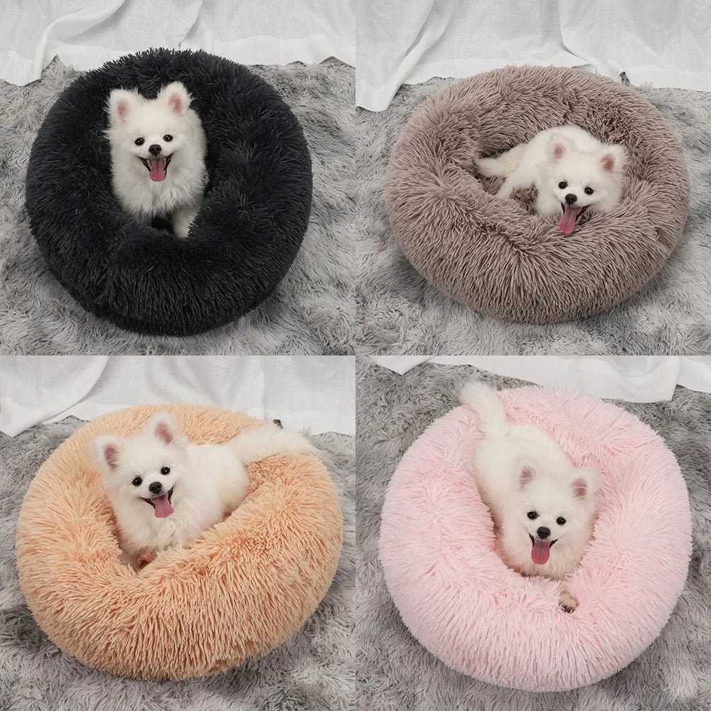 Plush Sofa Bed