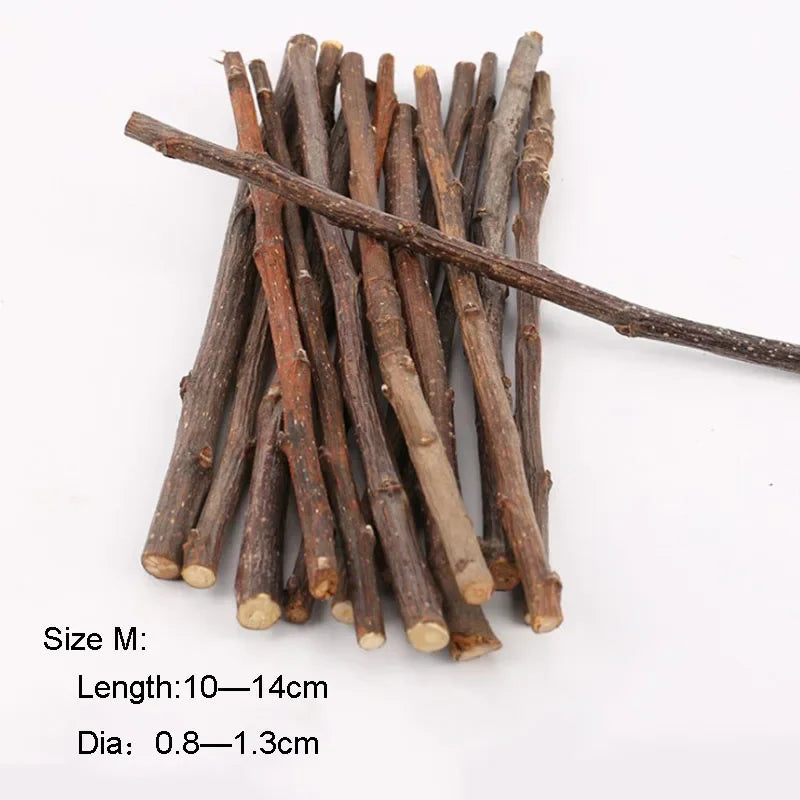 Teeth Grinding Apple Tree Stick