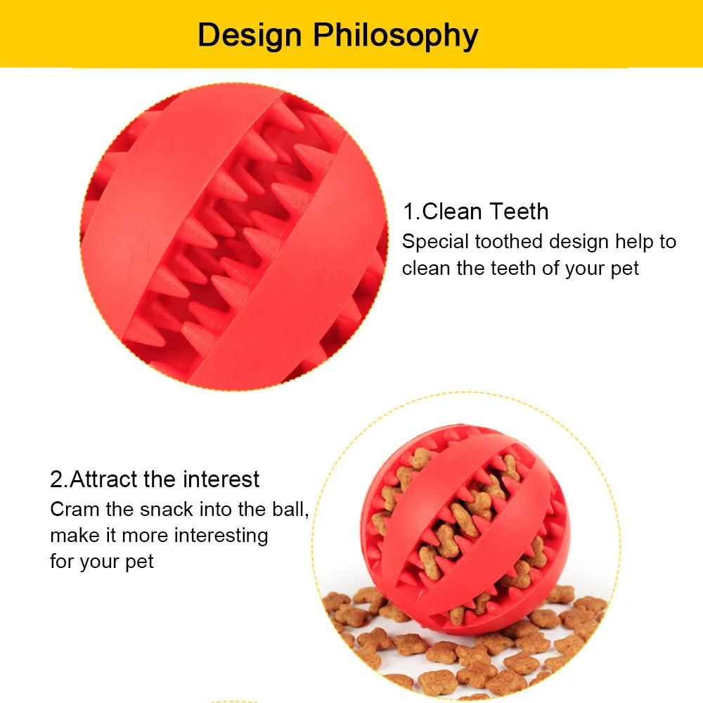 Pet Interactive Rubber Ball Toy