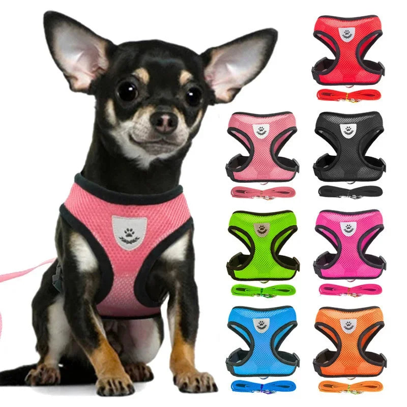 Small Vest Harness with Leash Breathable Mesh