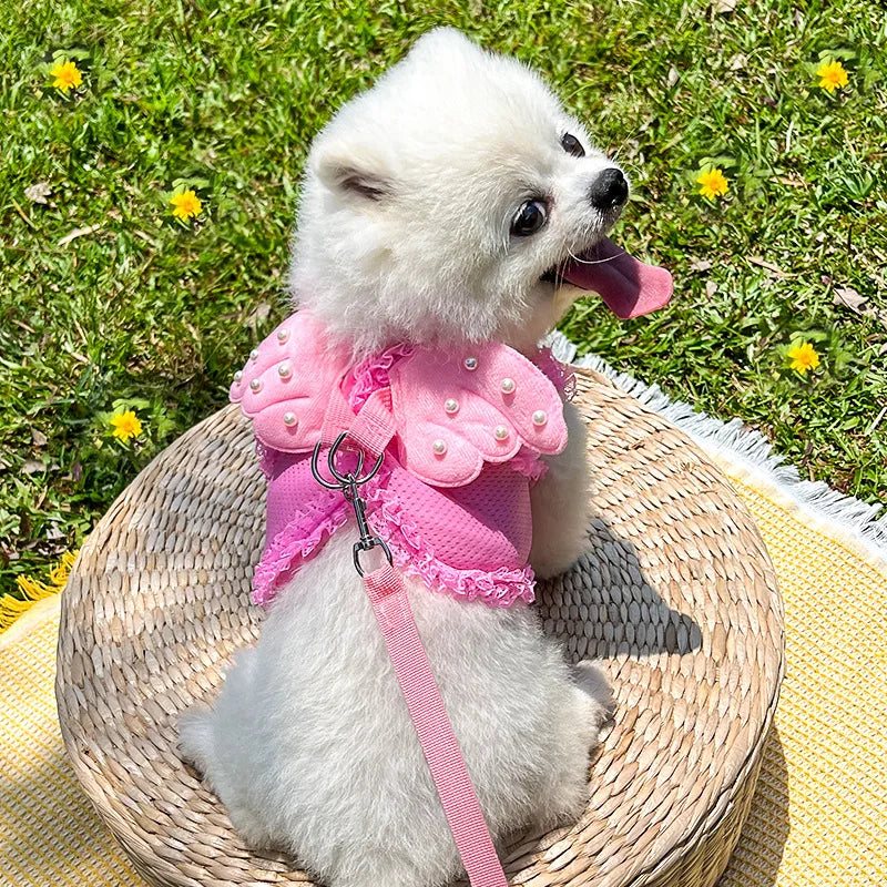 Angel Wing Dog Harness