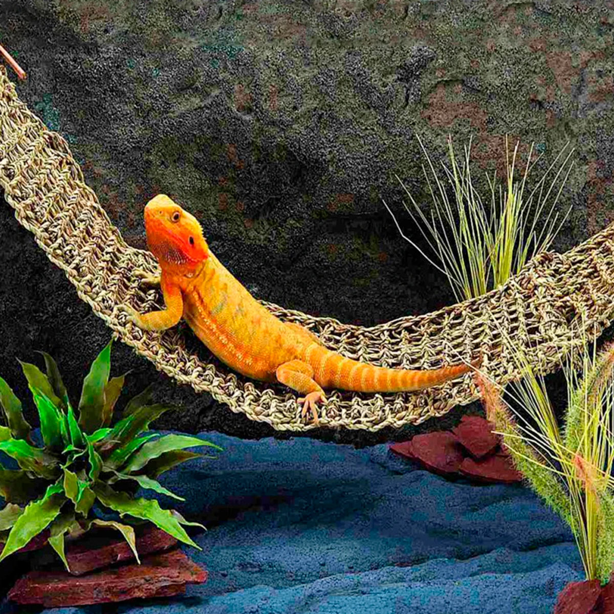 Reptile Hammock