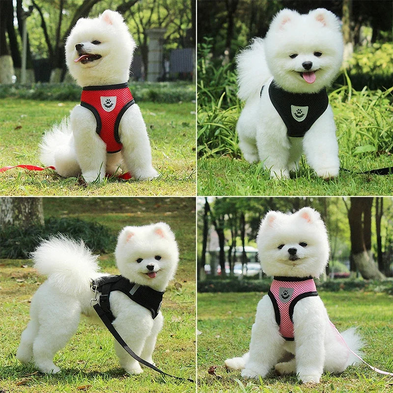 Small Vest Harness with Leash Breathable Mesh