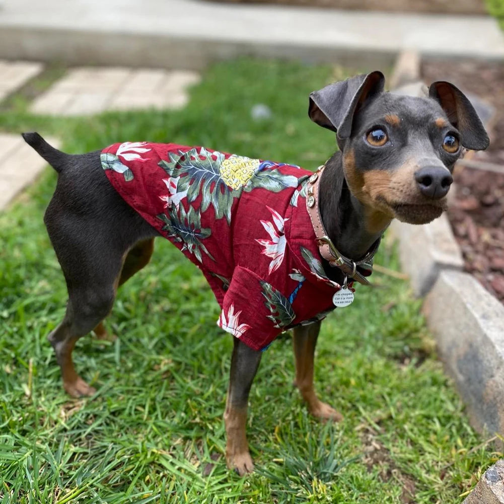 Hawaiian Style Shirt Short Sleeve XS-5XL