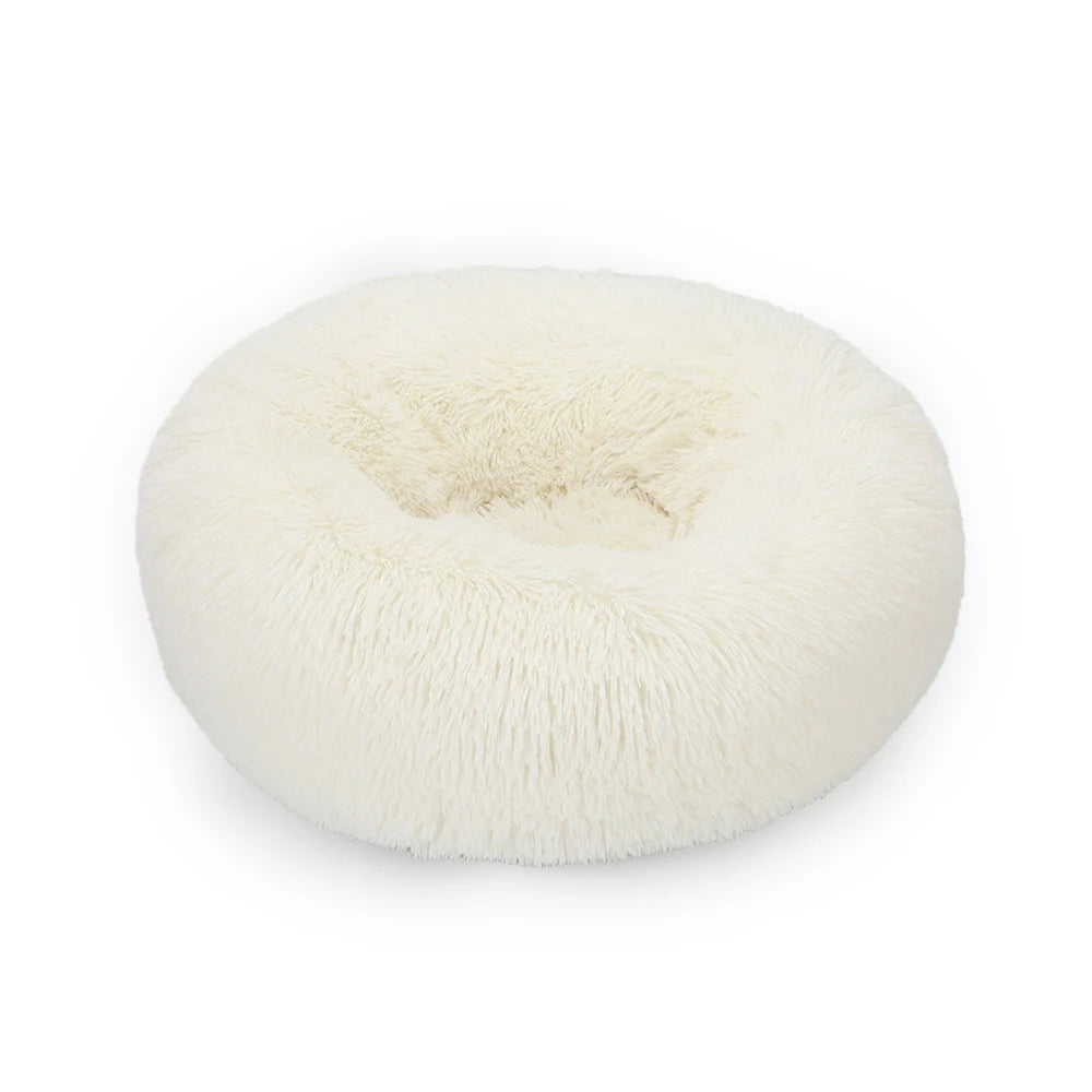 Plush Sofa Bed