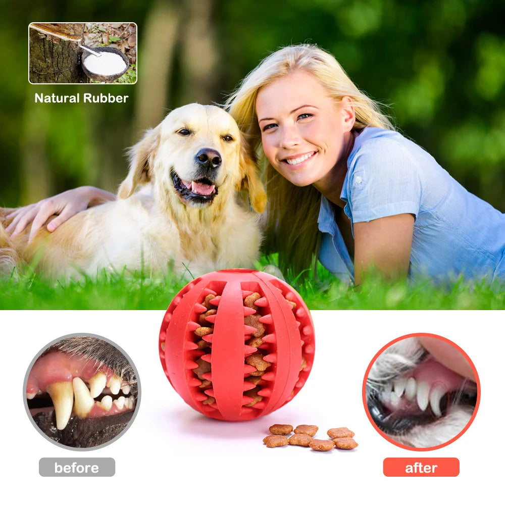 Pet Interactive Rubber Ball Toy