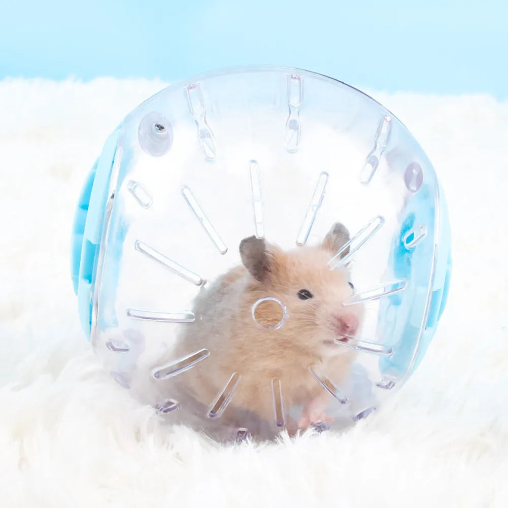 Outdoor Grounder Ball Small Pet