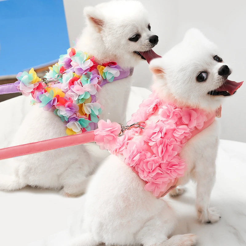 Angel Wing Dog Harness