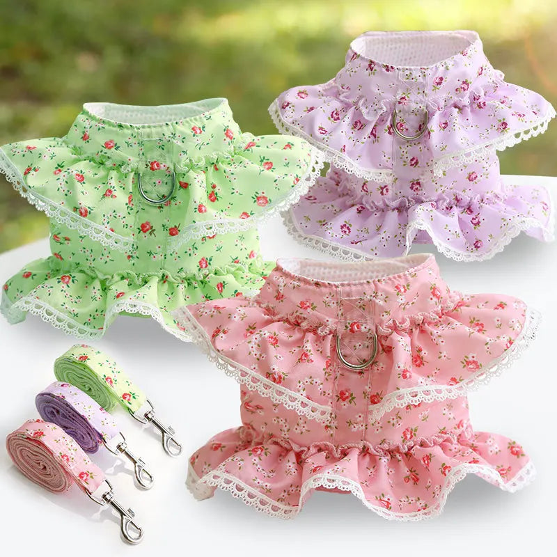 Angel Wing Dog Harness