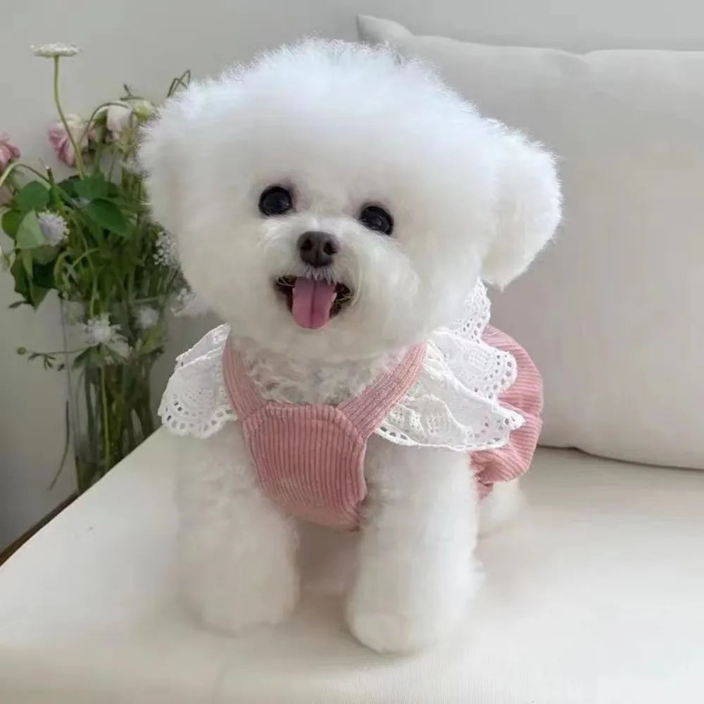 Small Pet Princess Dress