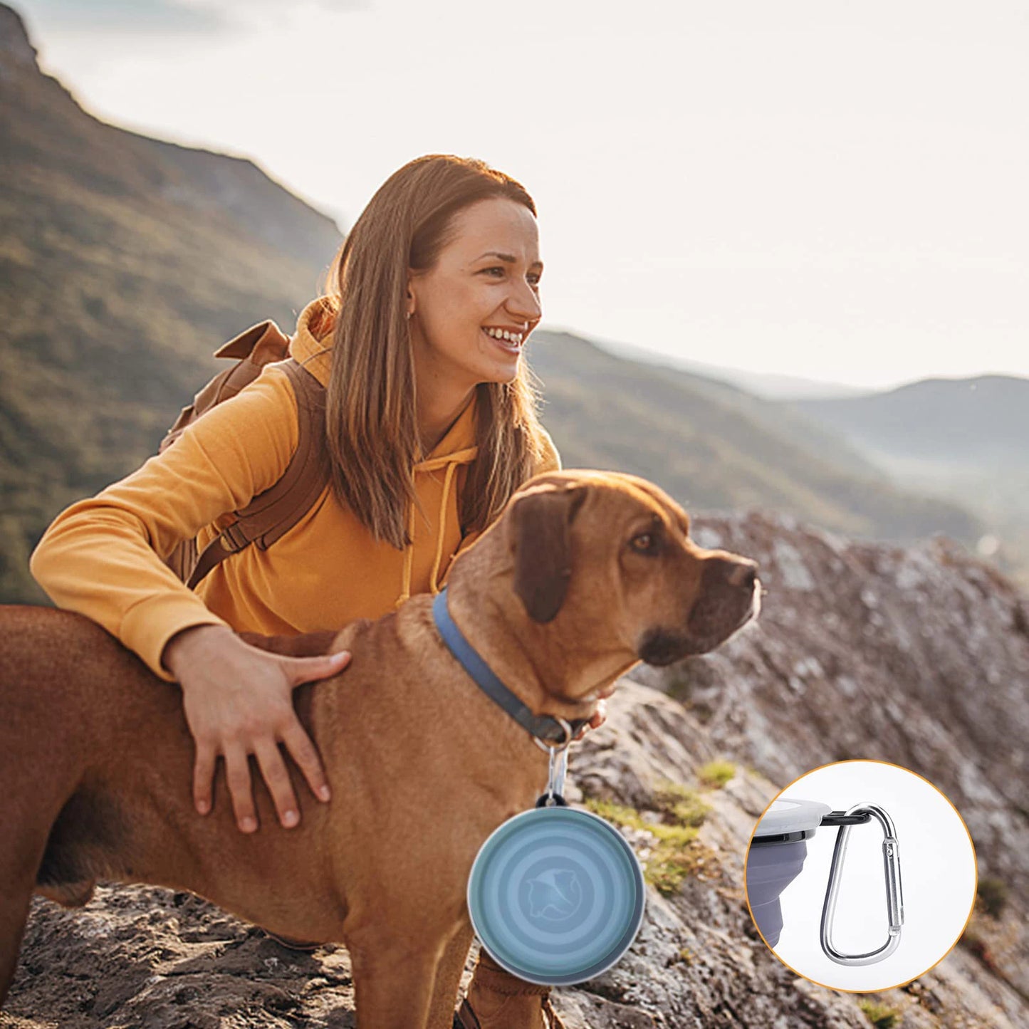 Collapsible Pet Silicone Food Water Bowl