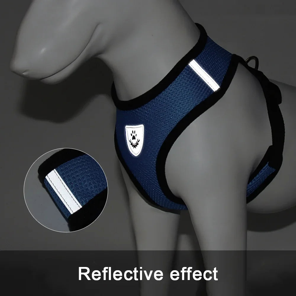 Small Vest Harness with Leash Breathable Mesh