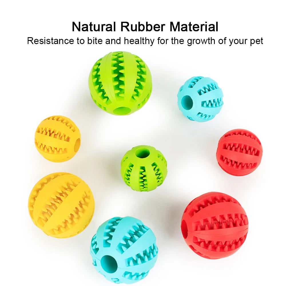 Pet Interactive Rubber Ball Toy