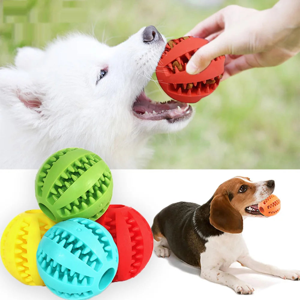 Pet Interactive Rubber Ball Toy