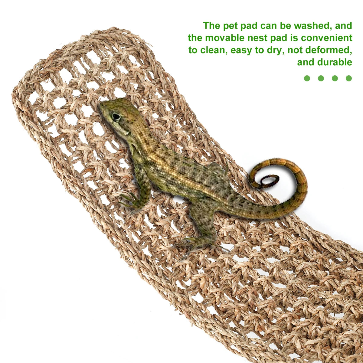 Reptile Hammock