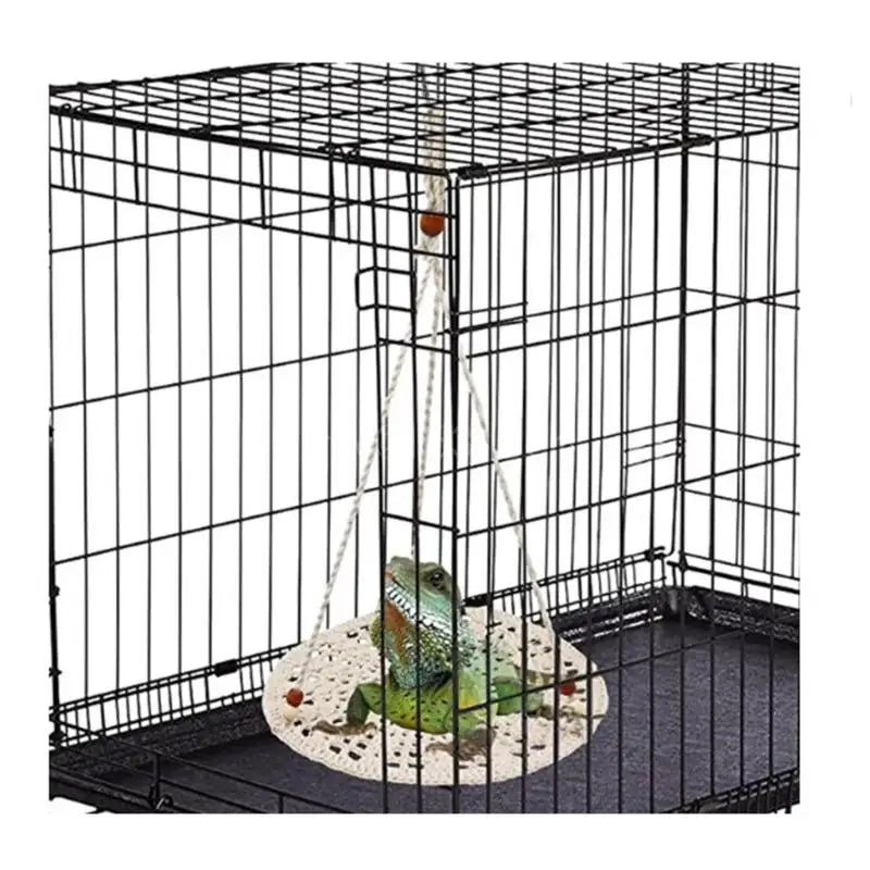 Reptile Hammock for Bearded Dragons Geckos Lizards Snake