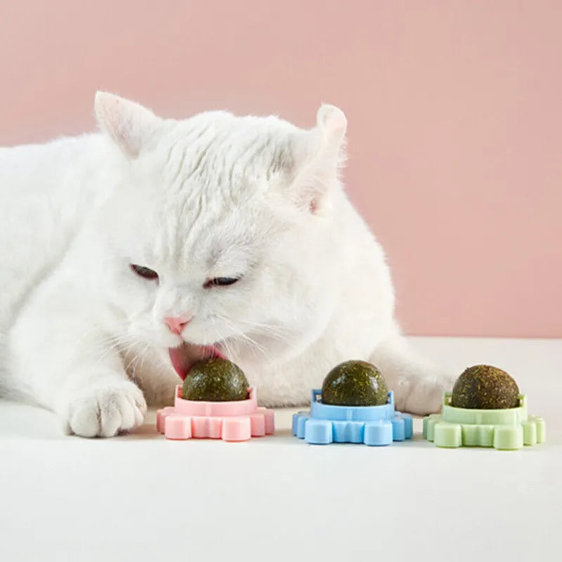 Natural Catnip Roller